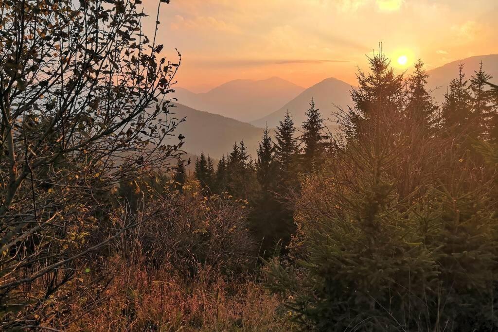 Appartment Dutzler Sankt Martin am Tennengebirge Eksteriør bilde